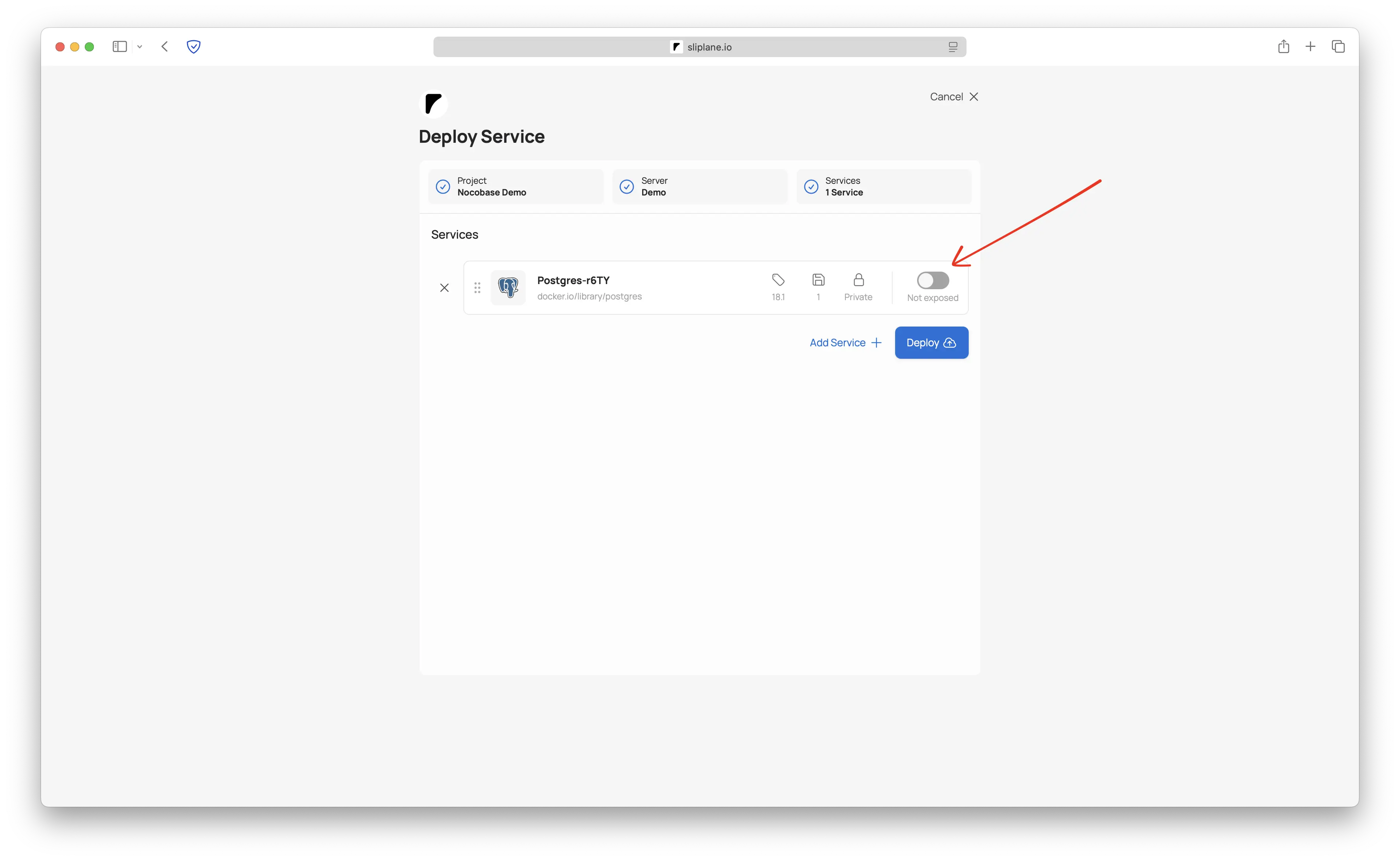 PostgreSQL deployen mit deaktiviertem Public Toggle
